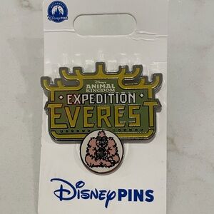 Disney Expedition Everest Green and Silver Pin